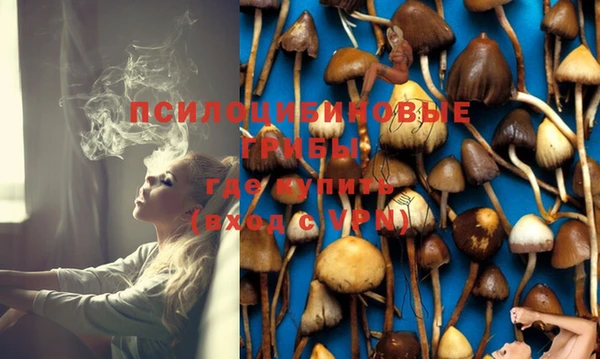 кокаин премиум Бородино